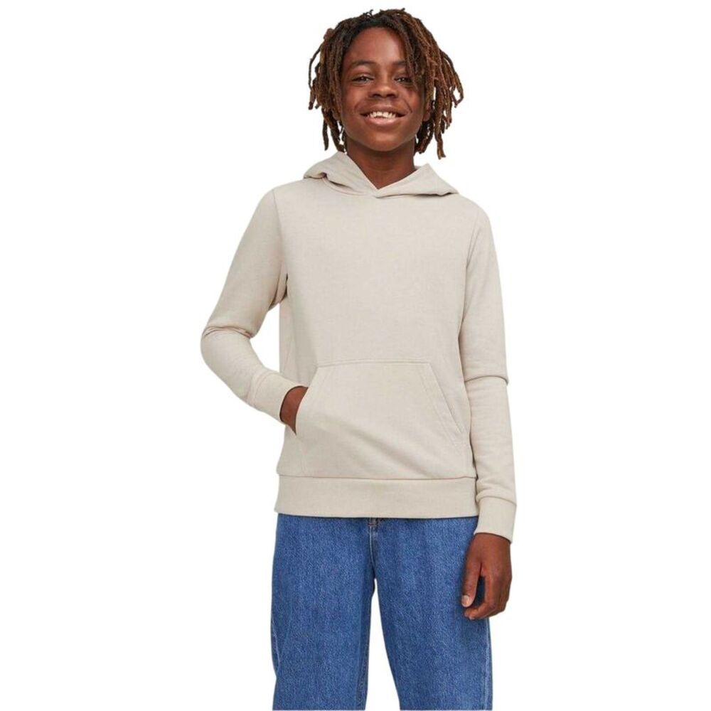 Jack And Jones Boys Bradley Pullover Hoodie / Moonbeam
